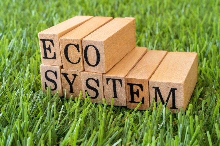 エコシステム